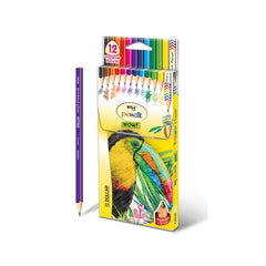 Dollar Full Size Colour Pencil Assorted 12s Ptc 13